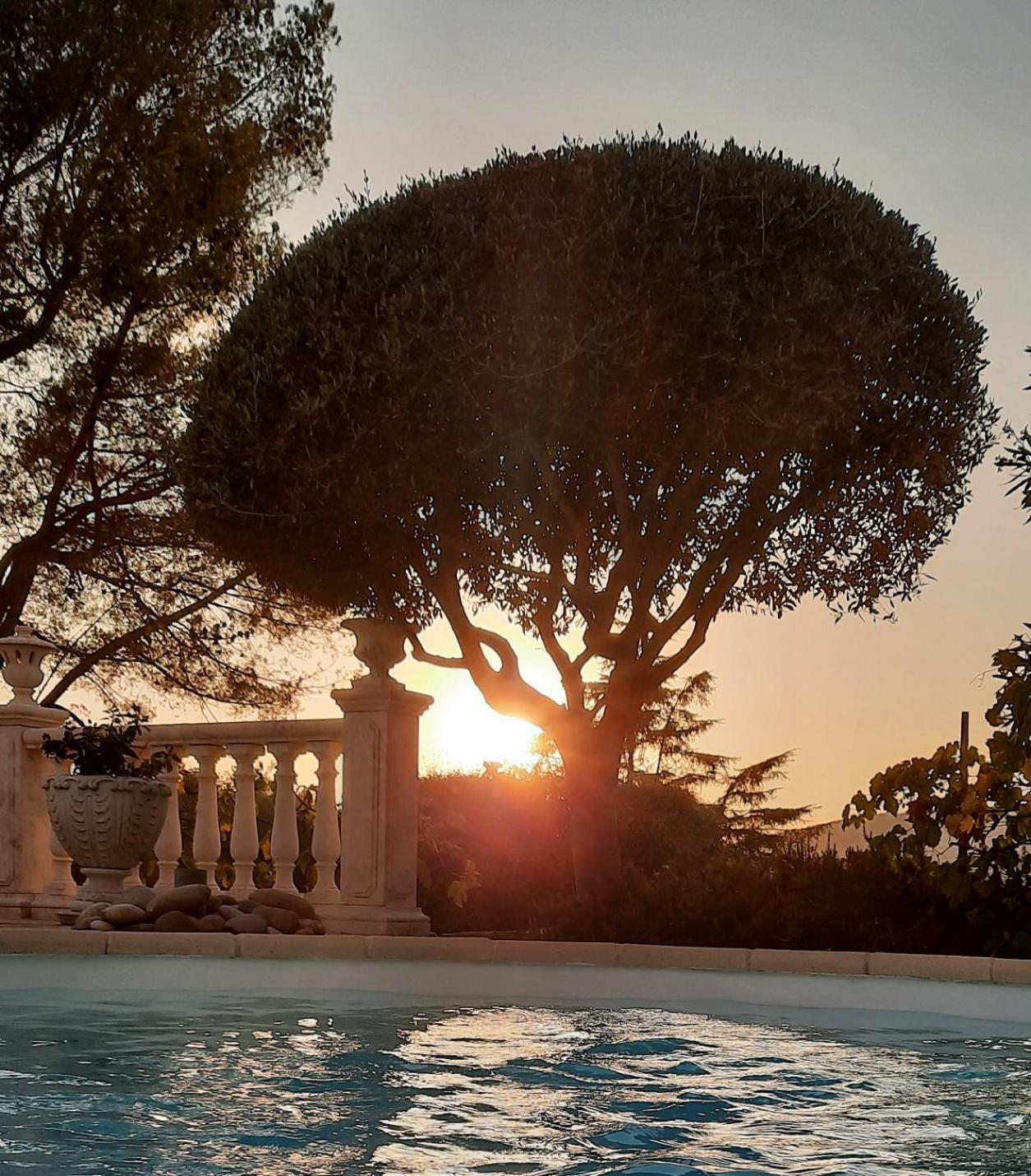 Gite Les Pins Climatise Piscine Chauffee Jardin Peymeinade 외부 사진